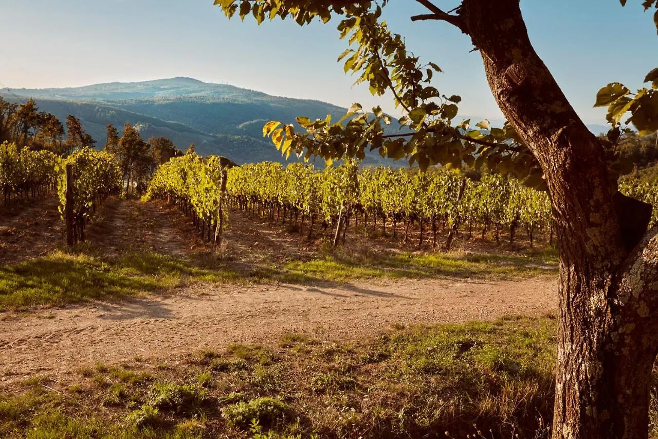 Tenuta San Vito In Fior Di Selva Montelupo Fiorentino 0*,