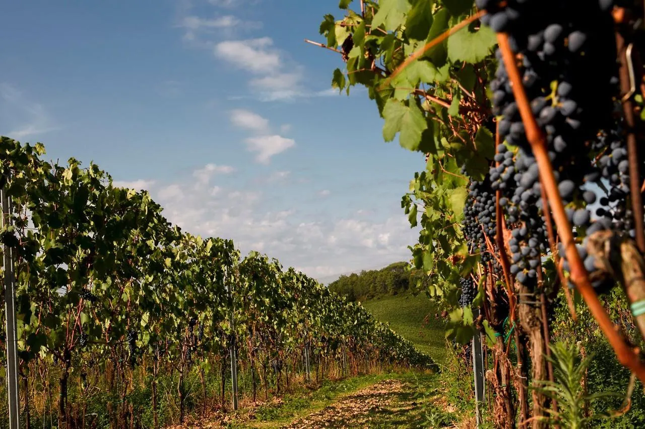 Tenuta San Vito In Fior Di Selva Montelupo Fiorentino Alloggio per agriturismo