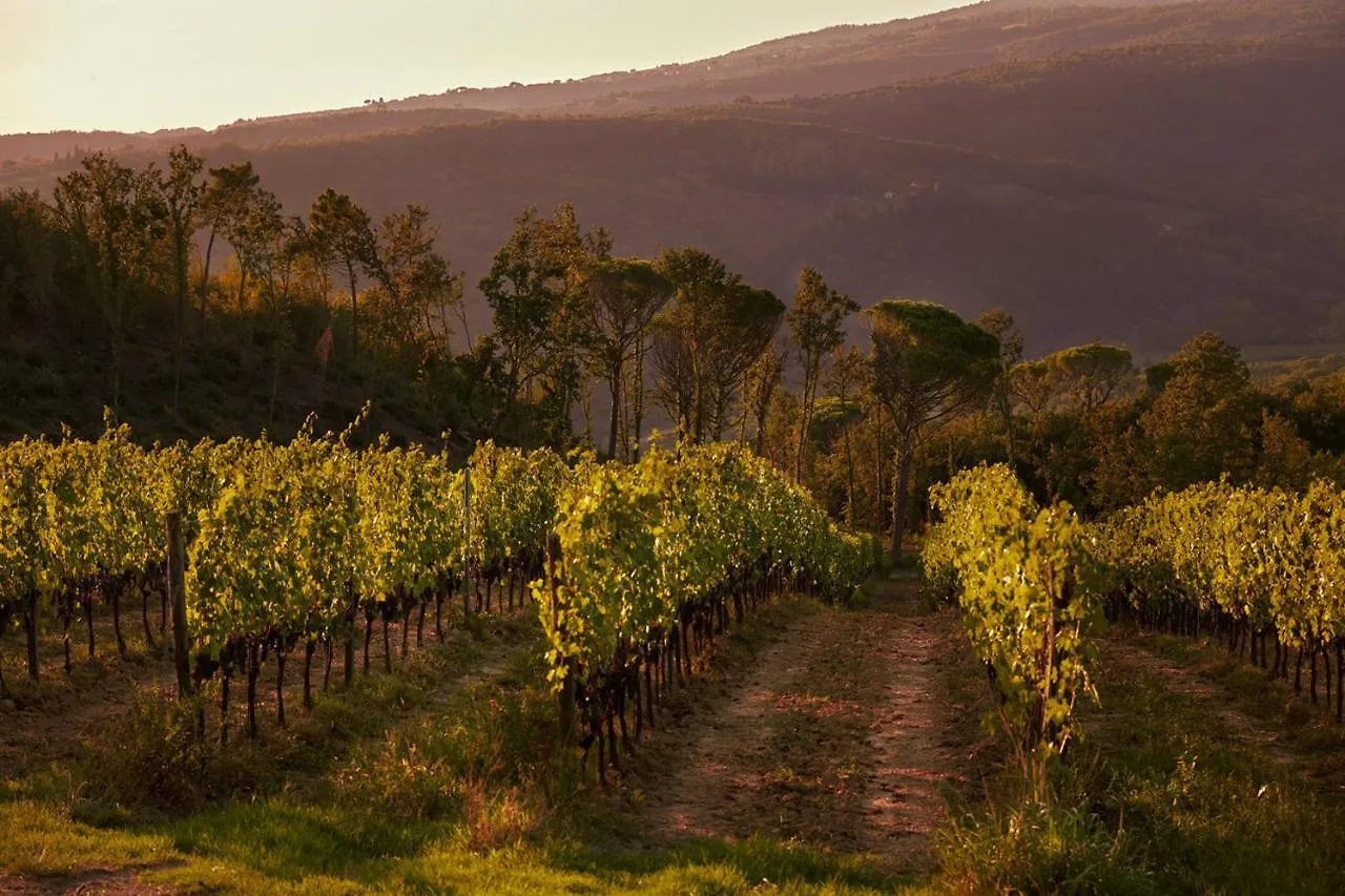 Alloggio per agriturismo Tenuta San Vito In Fior Di Selva Montelupo Fiorentino Italia