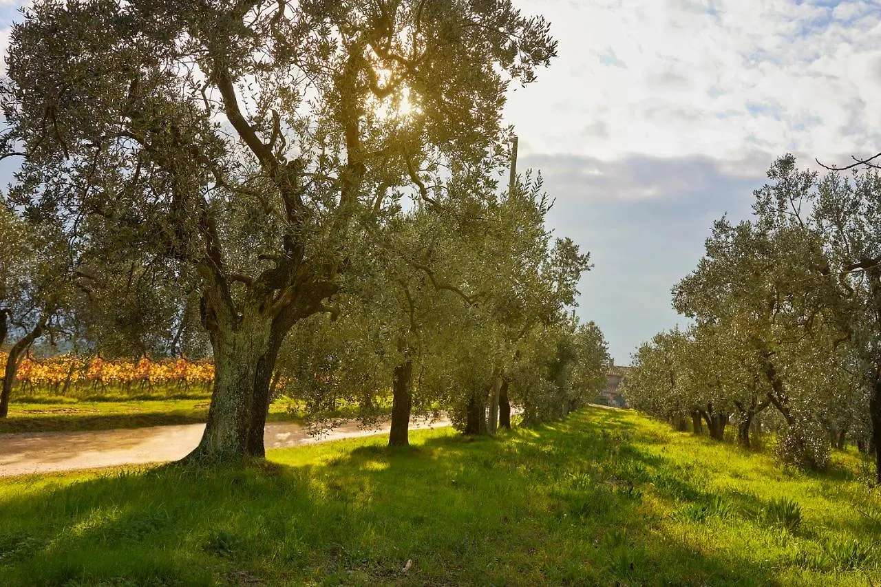 Tenuta San Vito In Fior Di Selva Montelupo Fiorentino Italia